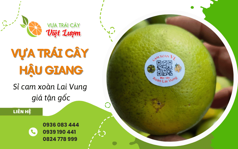 vựa trái cây uy tín Hậu Giang