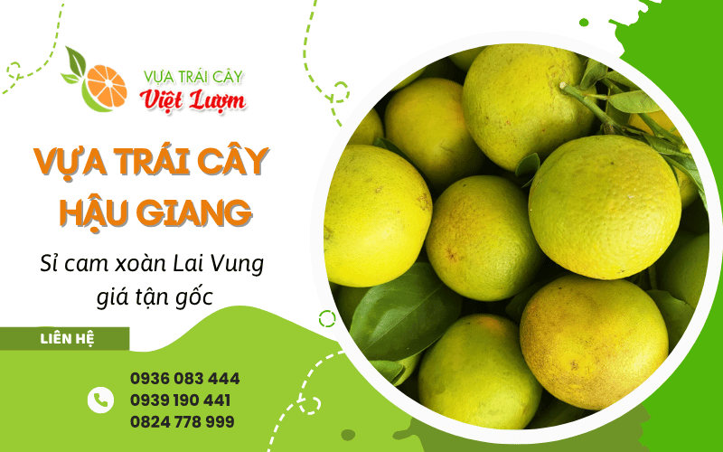 vựa trái cây uy tín Hậu Giang