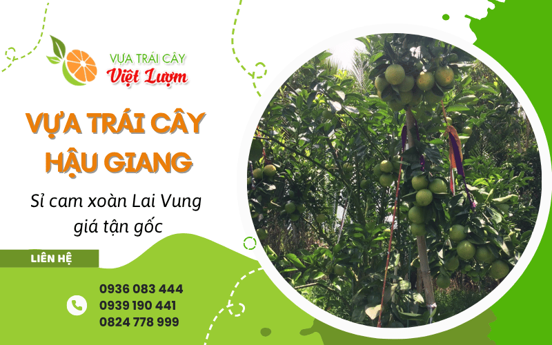 vựa trái cây uy tín Hậu Giang