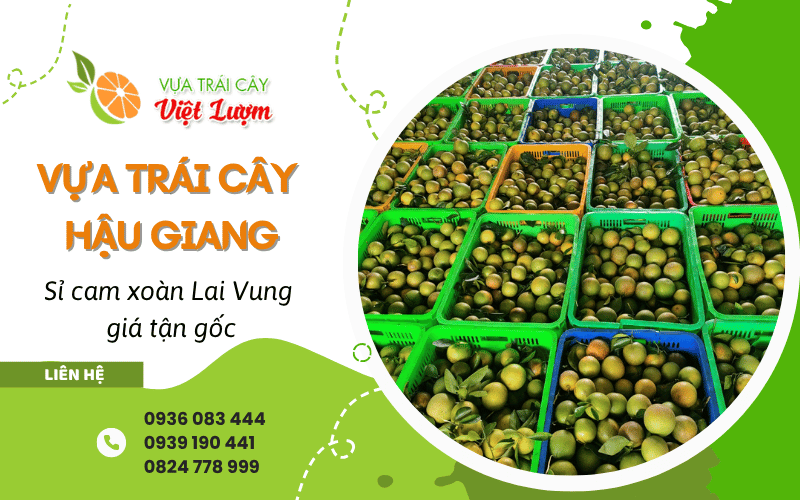 vựa trái cây uy tín Hậu Giang