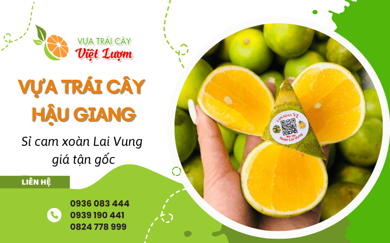 vựa trái cây uy tín Hậu Giang