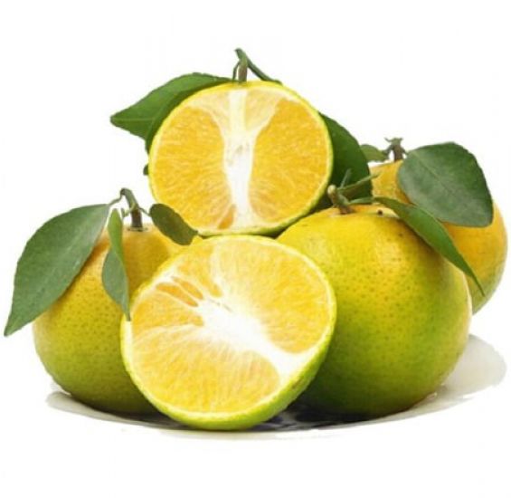 Vựa Trái Cây Việt Lượm