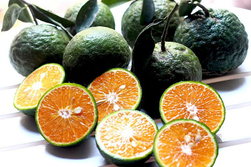 Vựa Trái Cây Việt Lượm