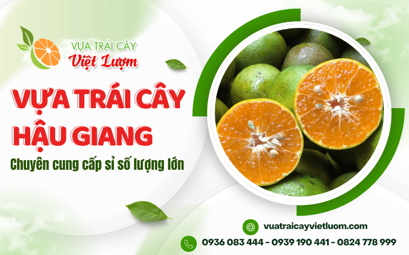 vựa trái cây Hậu Giang