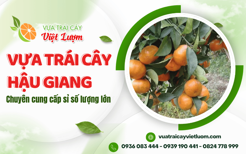 vựa trái cây Hậu Giang