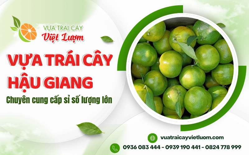 vựa trái cây Hậu Giang