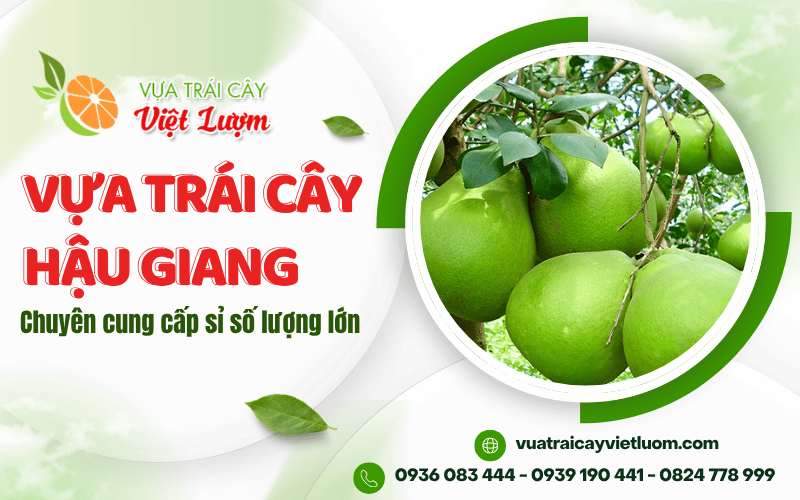 vựa trái cây Hậu Giang