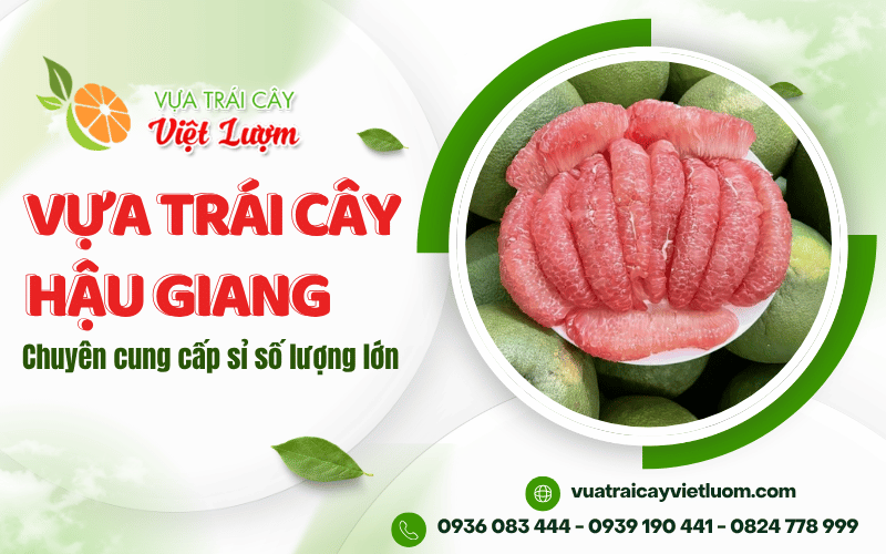 vựa trái cây Hậu Giang