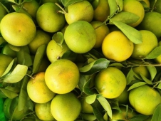 CÔNG DỤNG CỦA CAM XOÀN
